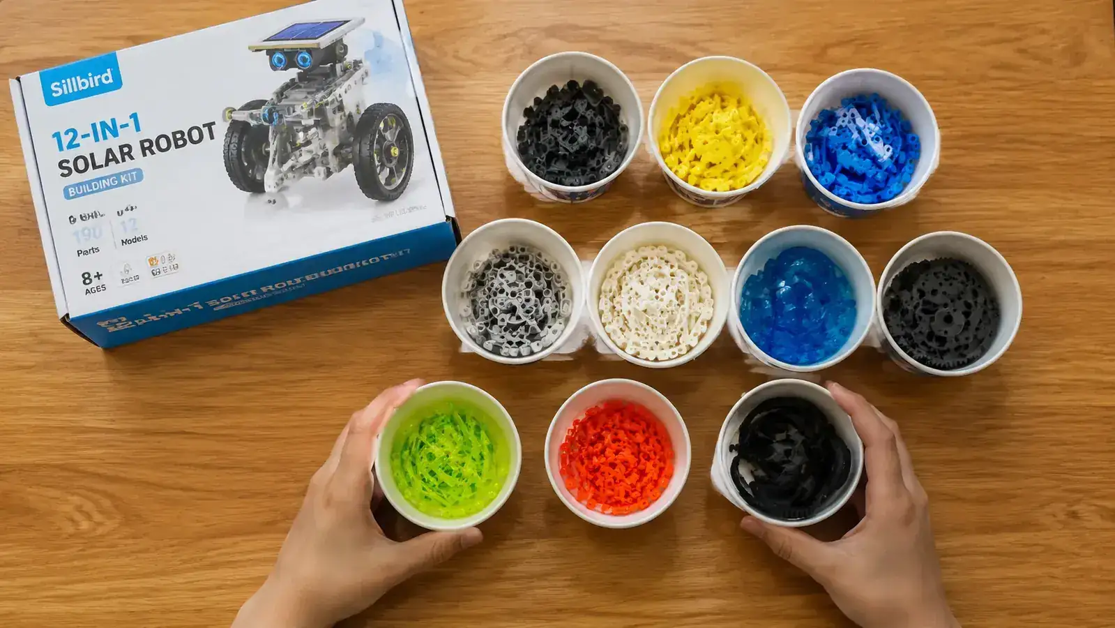 Overhead flat lay of all 190 Sillbird kit pieces sorted by color into small paper cups on a table